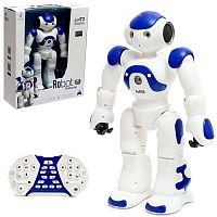 IQ Bot Робот радиоуправляемый "Хантер"					
